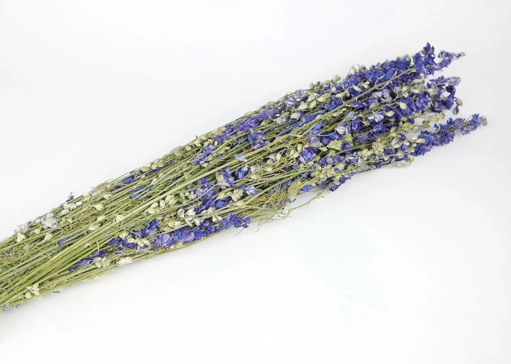 Flor seca  Delphinium lila
