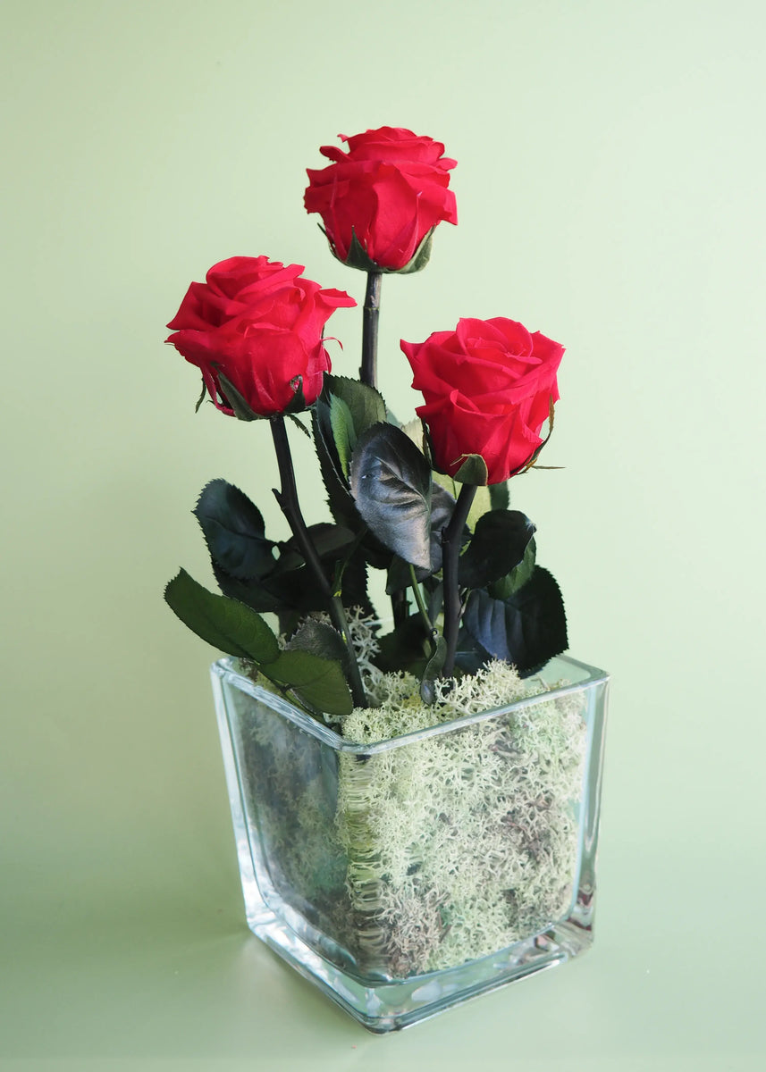 ROSER: Preserved roses Sant Jordi – floueri
