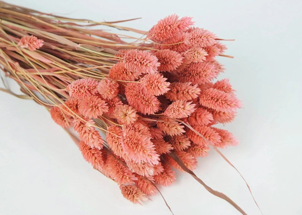 Ramo de Flores secas y preservados en colores rosados y fucsia con