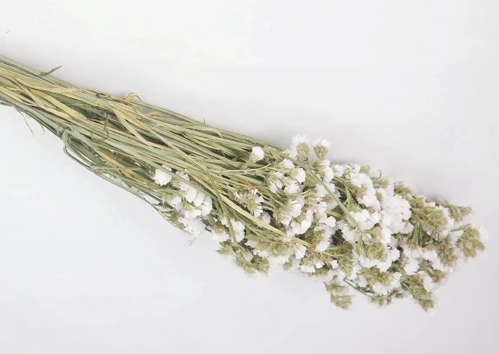 Pack Flores Secas Blancas — Floresfrescasonline