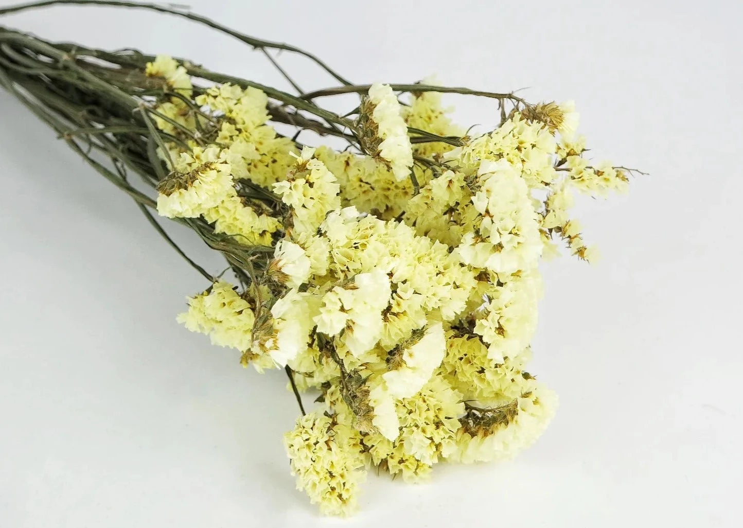 Paniculata Amarilla Preservada a granel